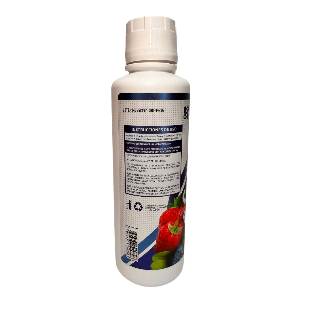 Carnitina & Energy - 33 Serv